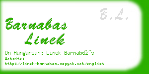 barnabas linek business card